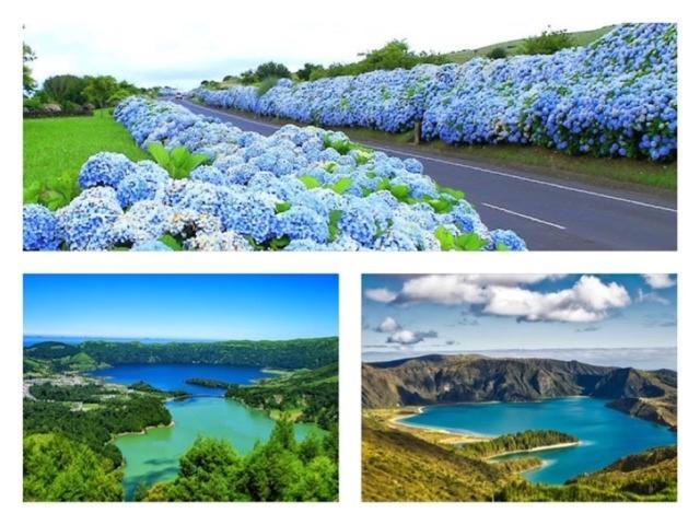 Ponta Delgada 2Stay- A0 מראה חיצוני תמונה